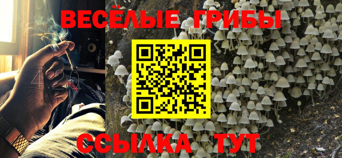 Галлюциногенные грибы ЛСД  Галлюциногенные грибы прущие грибы  Вход с VPN  Отрадное 